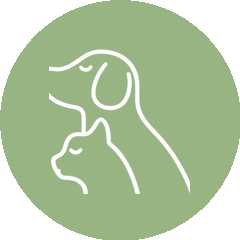Tatton Dog Walkers on Instagram